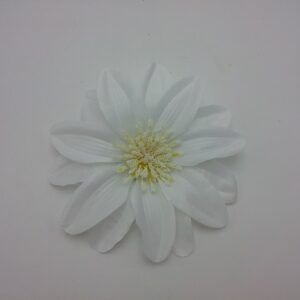 Daalia õis 0200 mix1