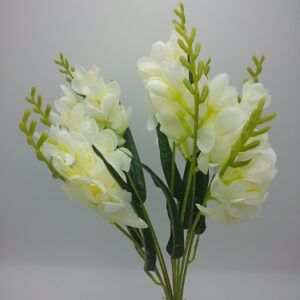 Freesia kimp 9 oksa 3200