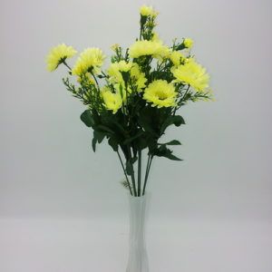 Gerbera-kimp