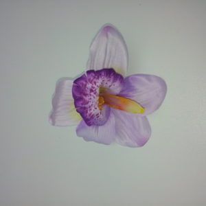 Orhidee-õis